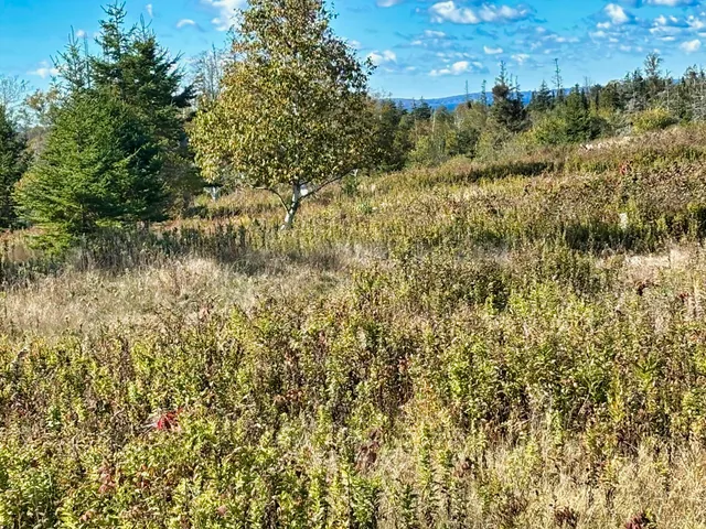 $495,000 | 274 West District Road, North Haven, ME 04853