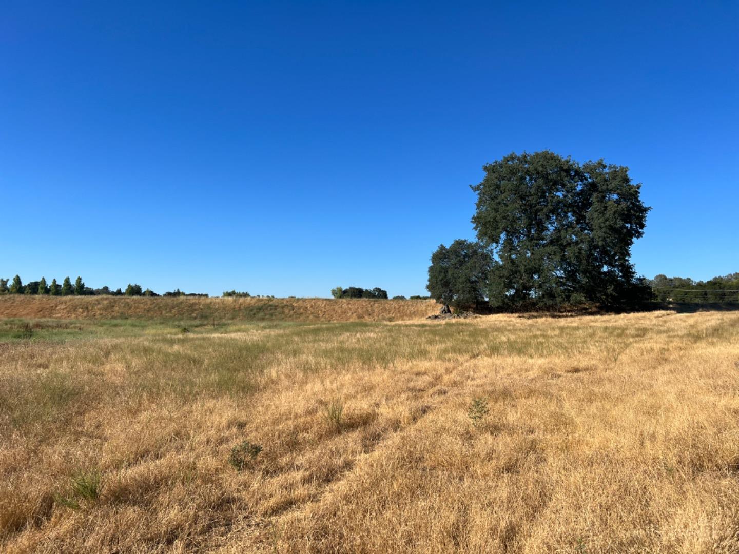 5800 Milton Ranch Road Shingle Springs, CA 95682 - Photo 19 of 21 a view of mountain view and mountain