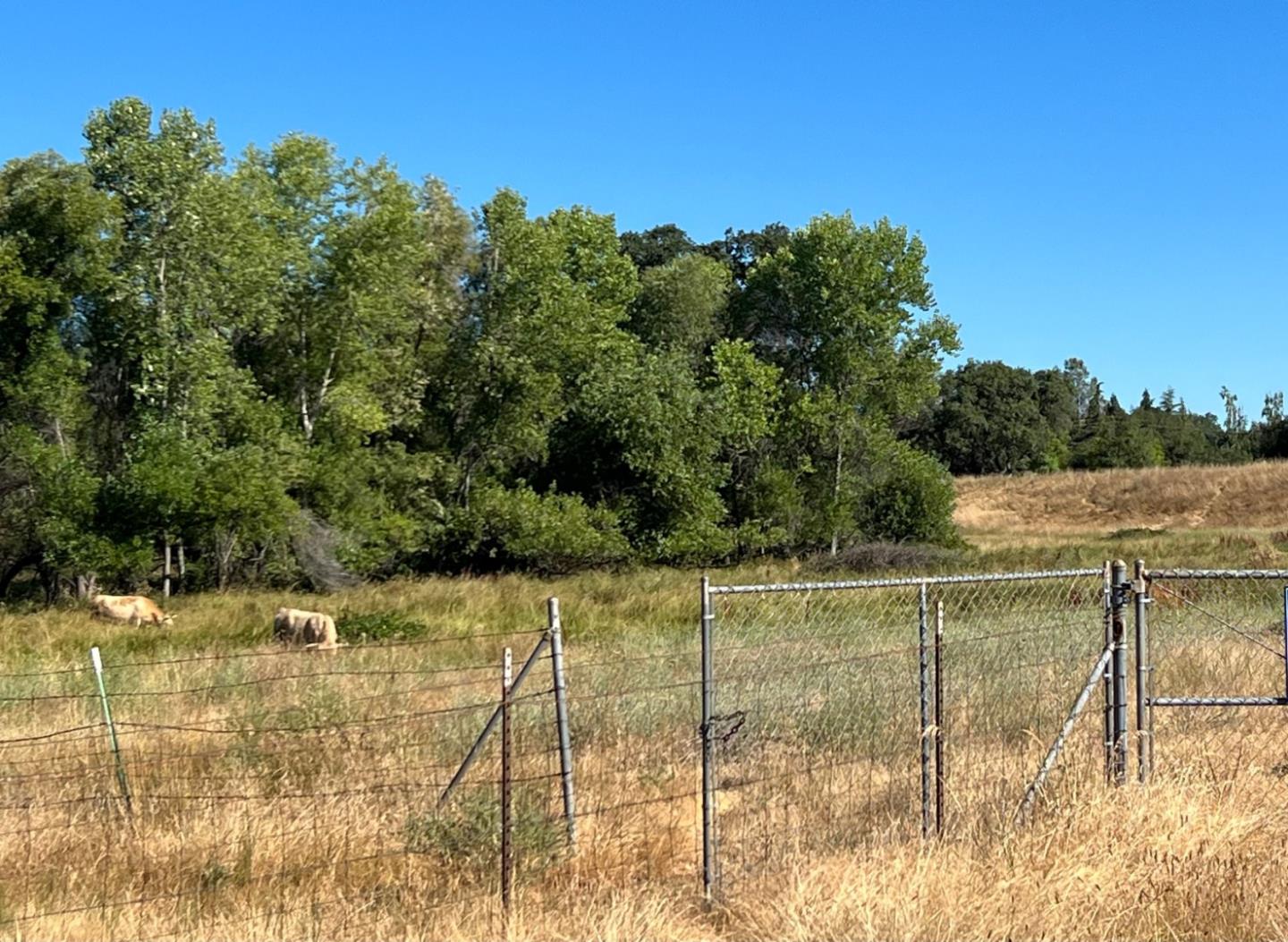 5800 Milton Ranch Road Shingle Springs, CA 95682 - Photo 21 of 21 a view of a lake