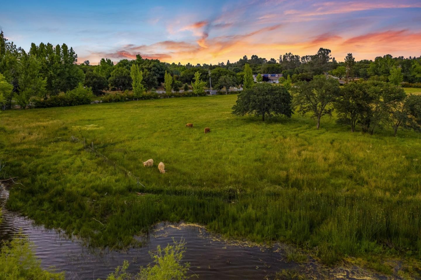 5800 Milton Ranch Road Shingle Springs, CA 95682 - Photo 4 of 21 a view of a lake with a yard
