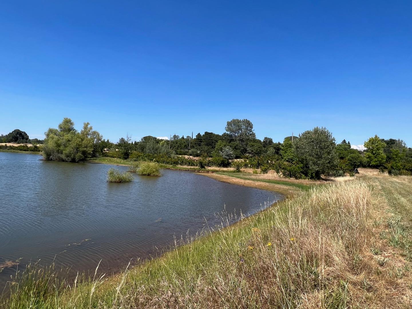 5800 Milton Ranch Road Shingle Springs, CA 95682 - Photo 9 of 21 a view of lake with green space
