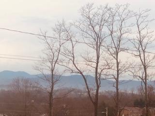 611 East Barton Ridge Road Greeneville, TN 37745 - Photo 28 of 30 IMG_2156