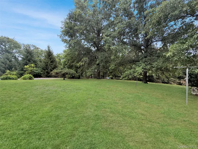 a view of a field of grass and trees