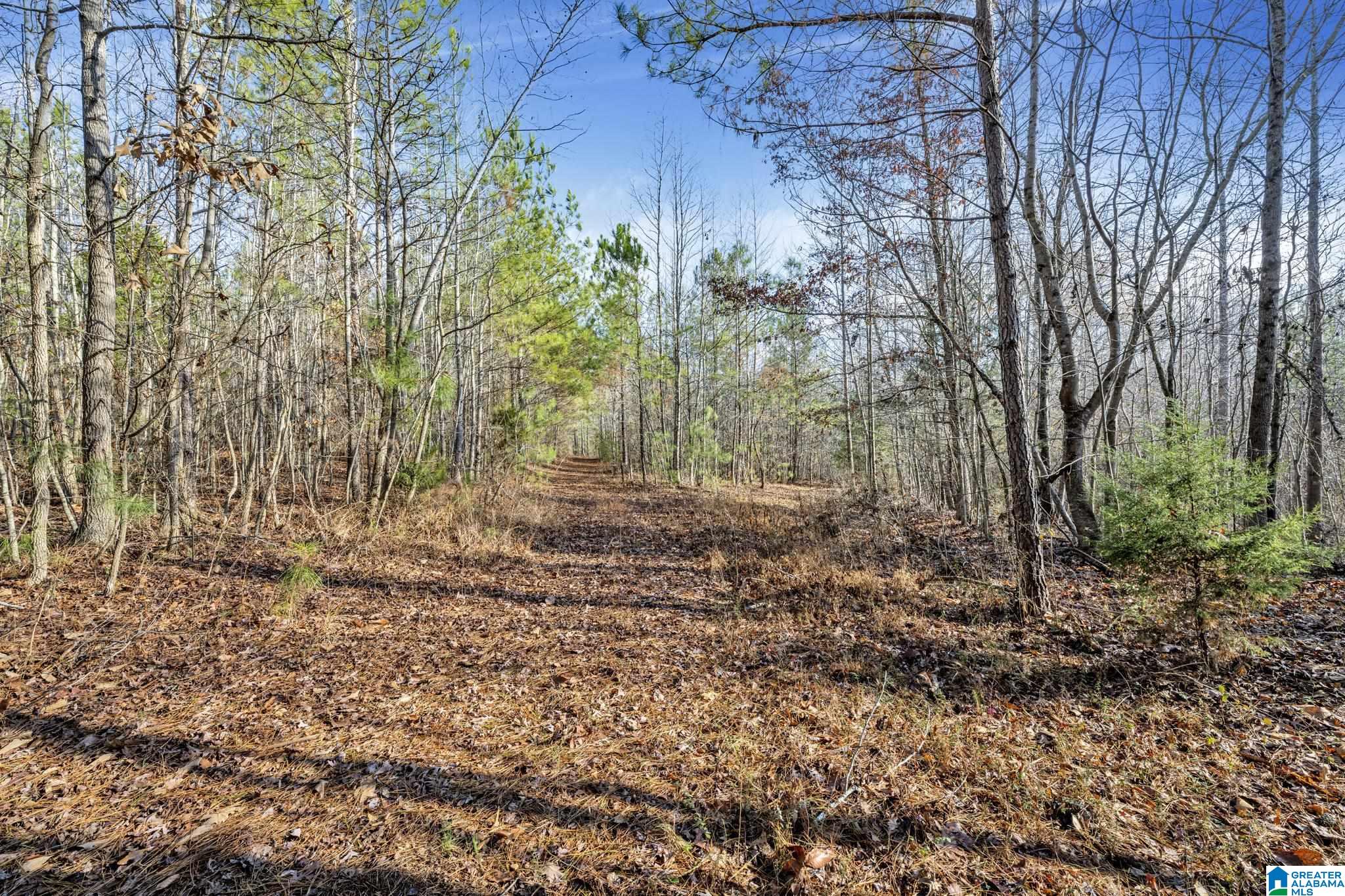 941 Hamm Road Blountsville, AL 35031 - Photo 46 of 67