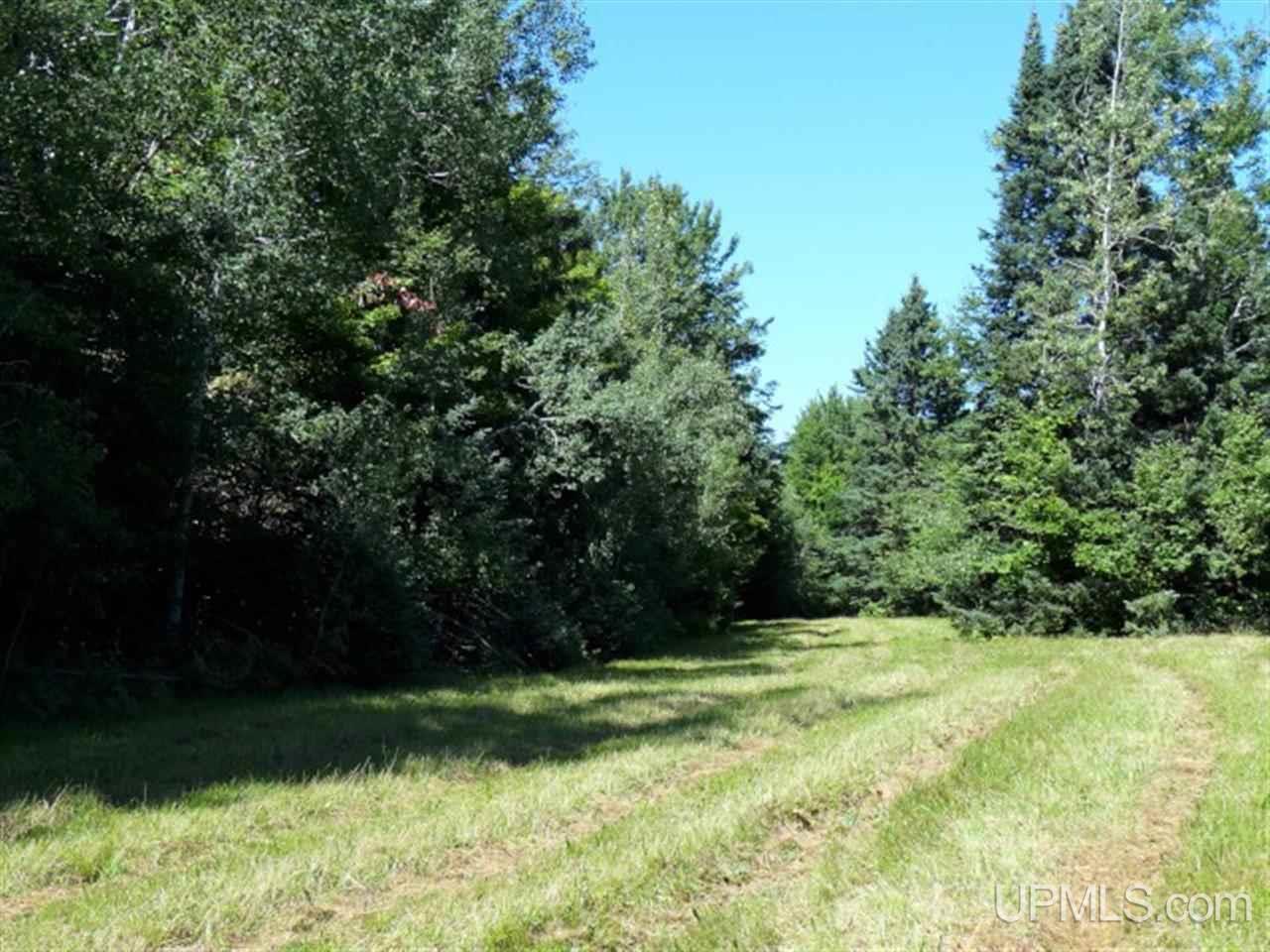 39547 Jaasko Road Toivola, MI 49965 - Photo 14 of 18 Gallery Image 14