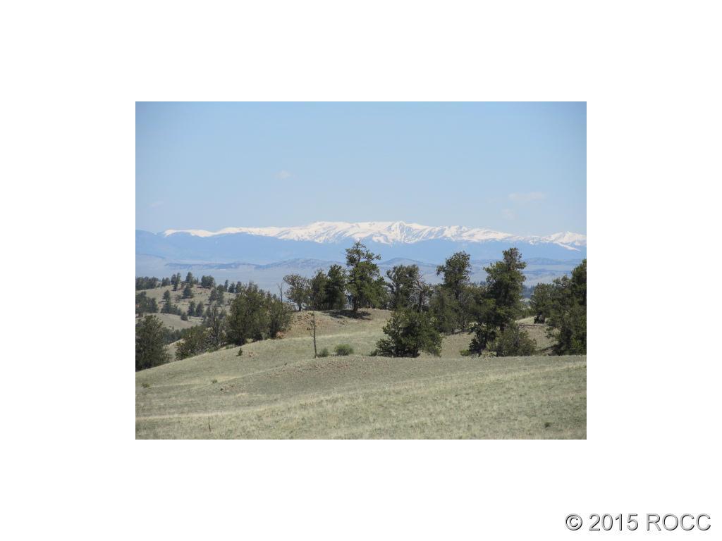 Tbd Tbd Keokuk Road Hartsel, CO 80449 - Photo 6 of 6 Gallery Image 6