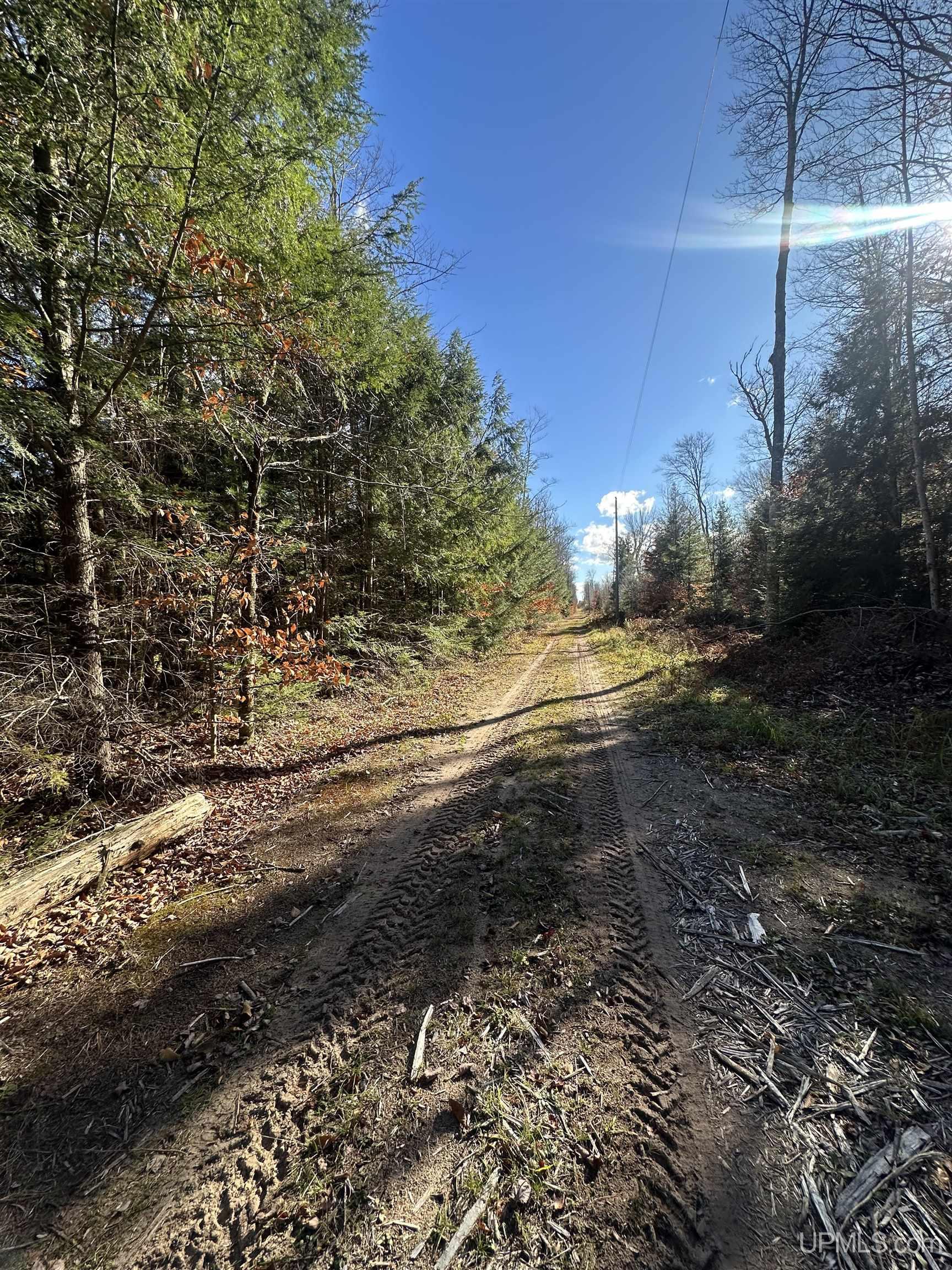 240-acres Long Lake Road Wetmore, MI 49895 - Photo 34 of 39
