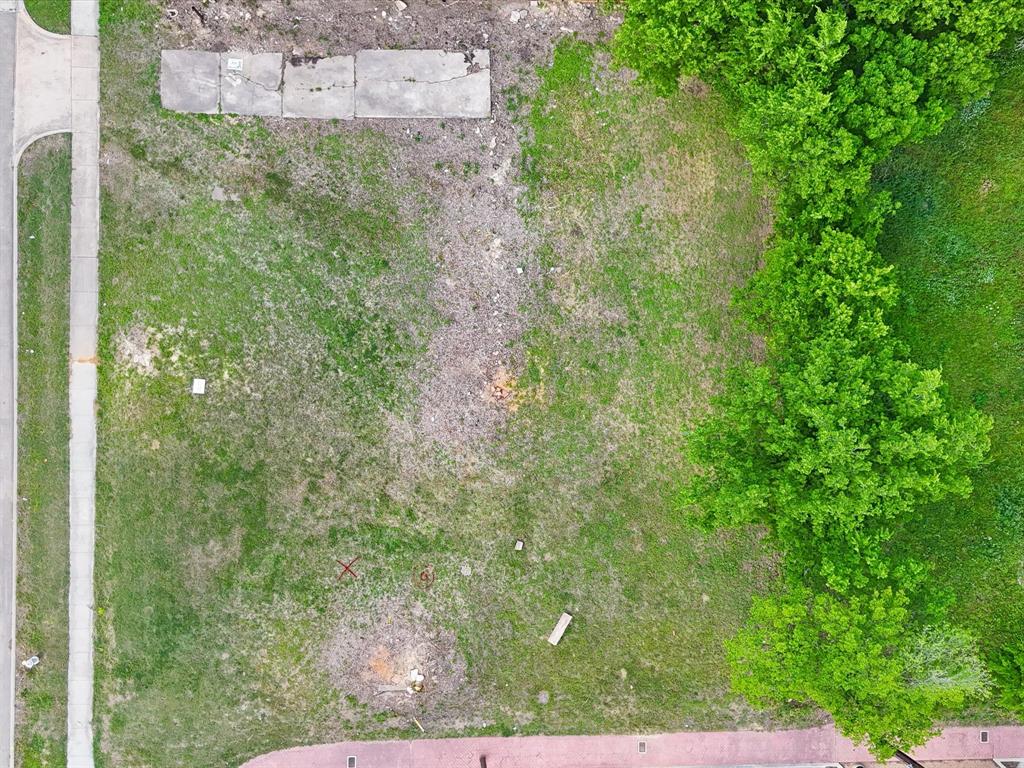 1003 East Rosedale Street Fort Worth, TX 76104 - Photo 10 of 15 a view of a yard with plants and large trees