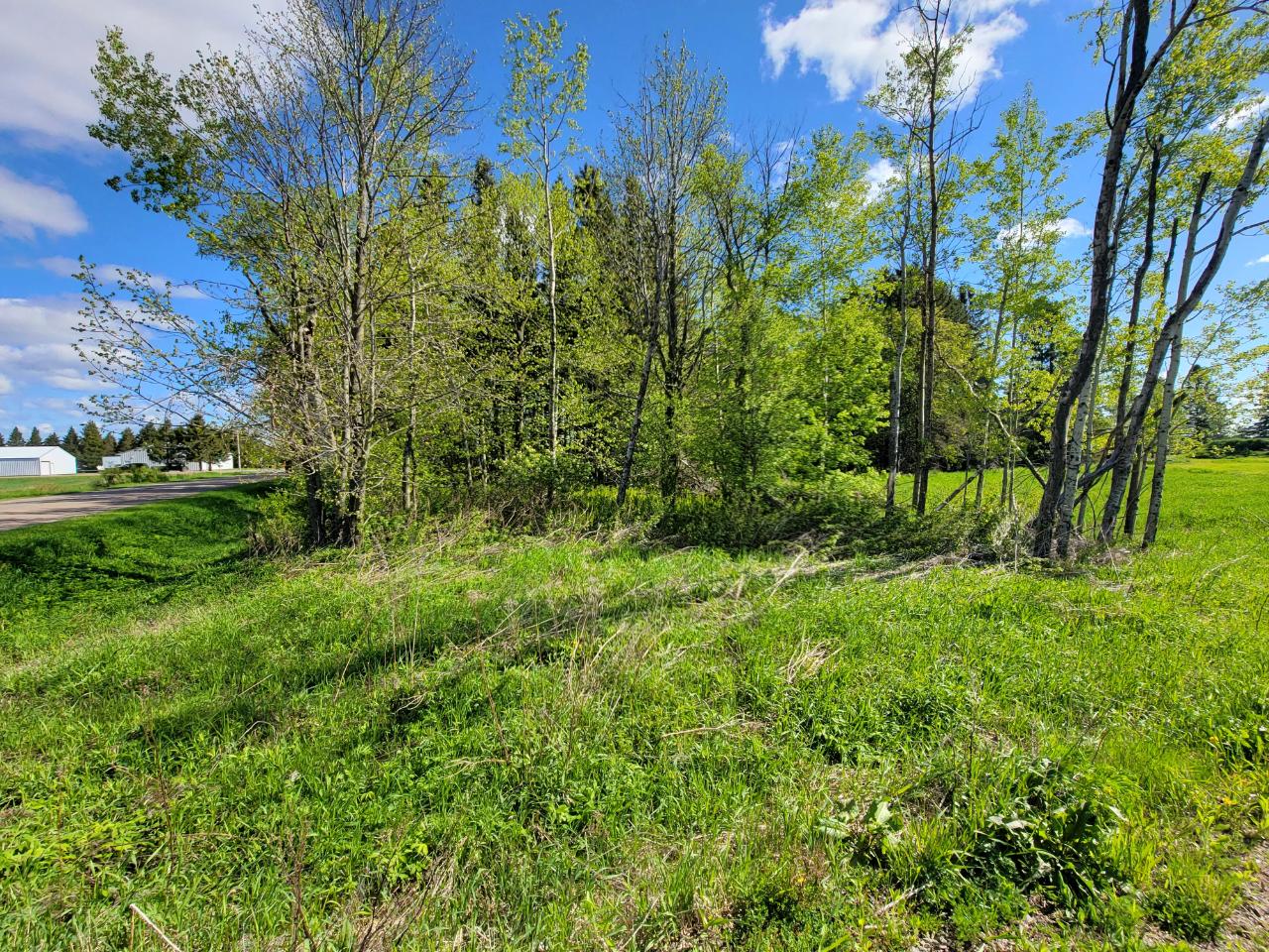 N4869 Star Neva Road Antigo, WI 54409 - Photo 14 of 24 Gallery Image 14
