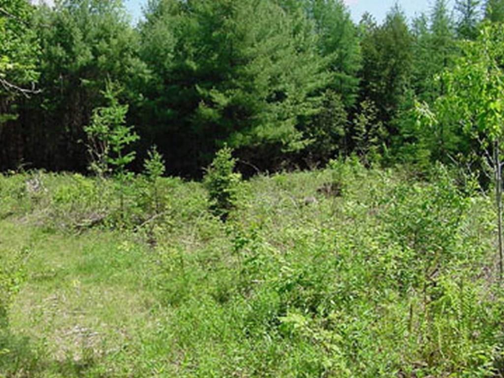 9 Anderson Farm Road Corinth, ME 04427 - Photo 4 of 18 Photo