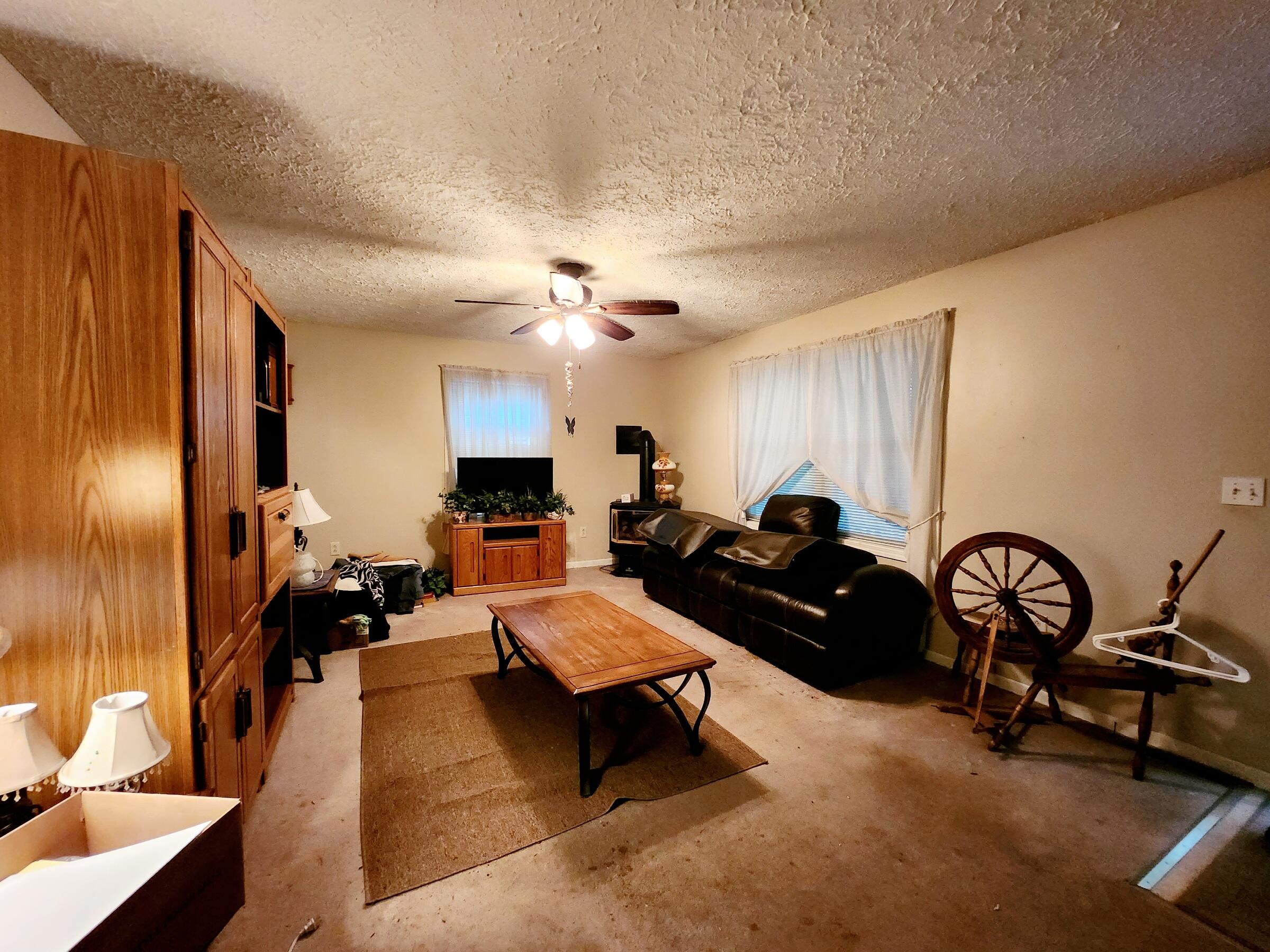 7411 North Deja Road Edmore, MI 48829 - Photo 11 of 40 20230817_124055