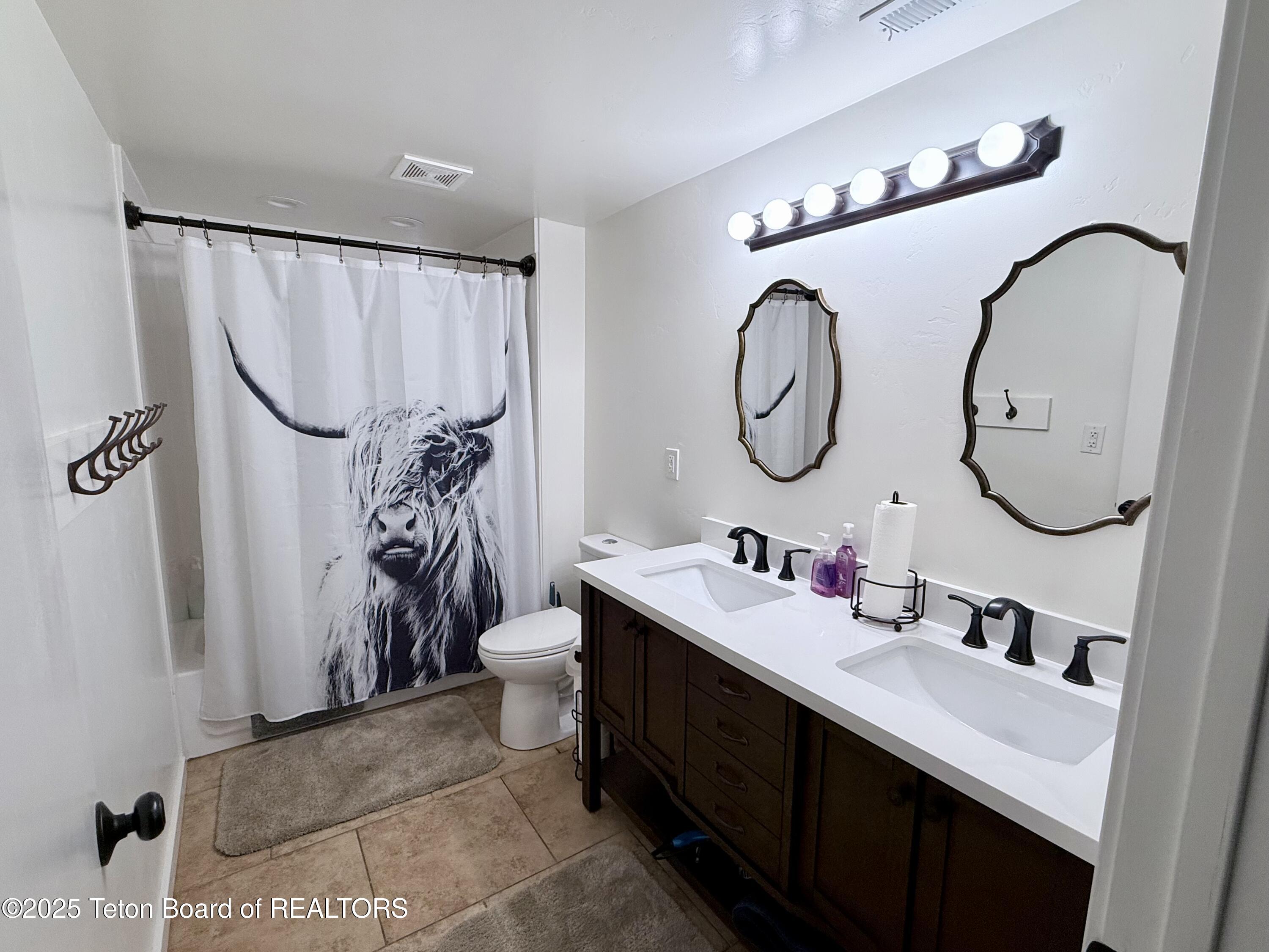 161 Vista W Drive Star Valley Ranch, WY 83127 - Photo 12 of 18 Downstairs Bath