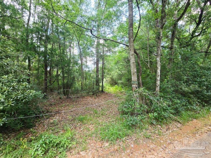 5350 Black Gate Road Milton, FL 32583 - Photo 3 of 6 Gallery Image 3