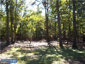 2321 Garwood Road Sicklerville, NJ 08081 - Photo 11 of 12 Gallery Image 11