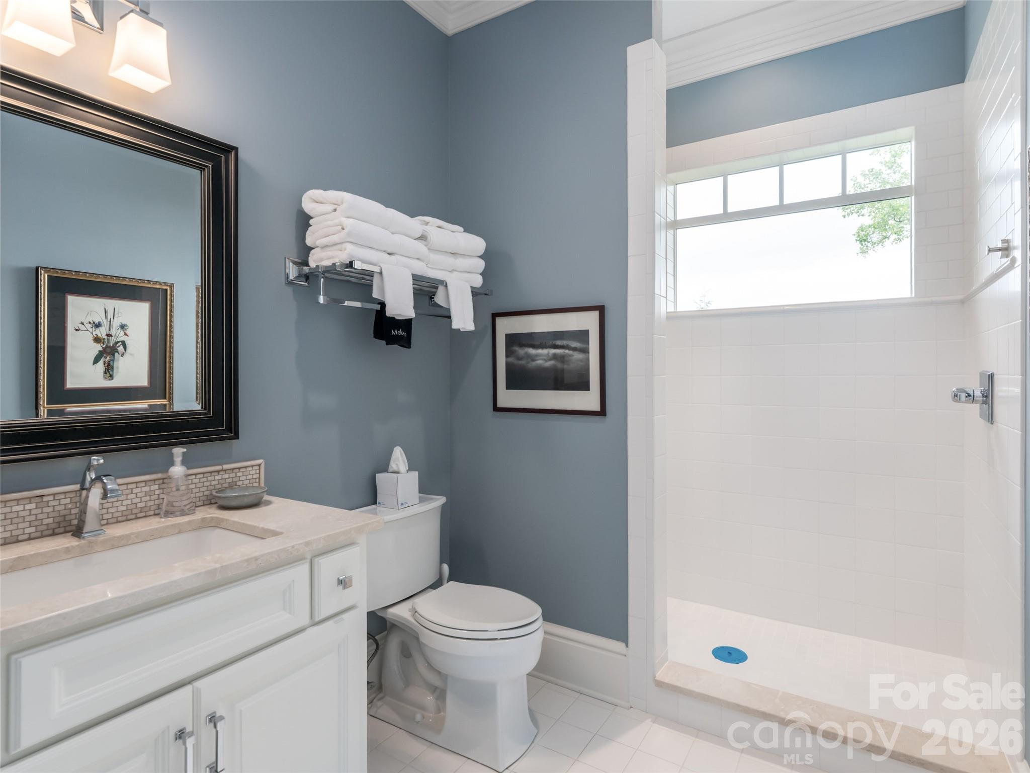 29 Elk Ridge Drive Weaverville, NC 28787 - Photo 39 of 48