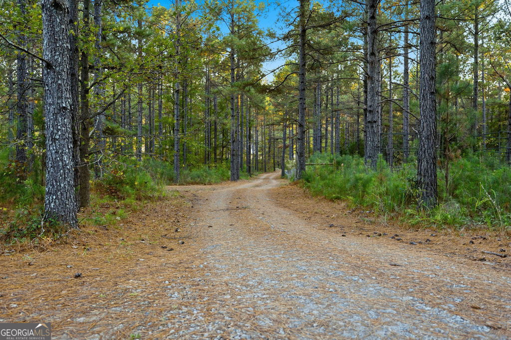 1907 Mountain Creek Church Road Starr, SC 29684 - Photo 7 of 31