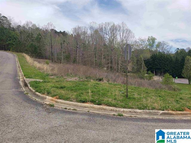 45 Joshua Way, Unit 5 Springville, AL 35146 - Photo 2 of 5
