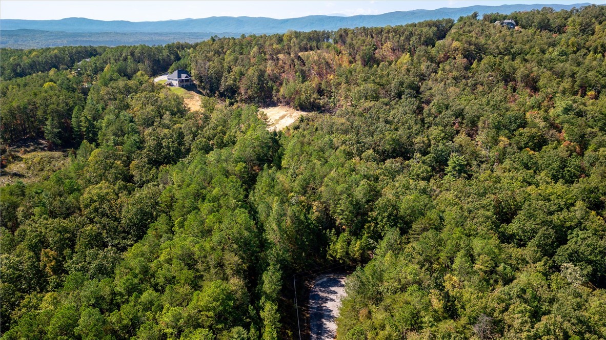 0 Meadow View Lane, Unit N34 JOCASSEE RIDGE Salem, SC 29676 - Photo 6 of 11