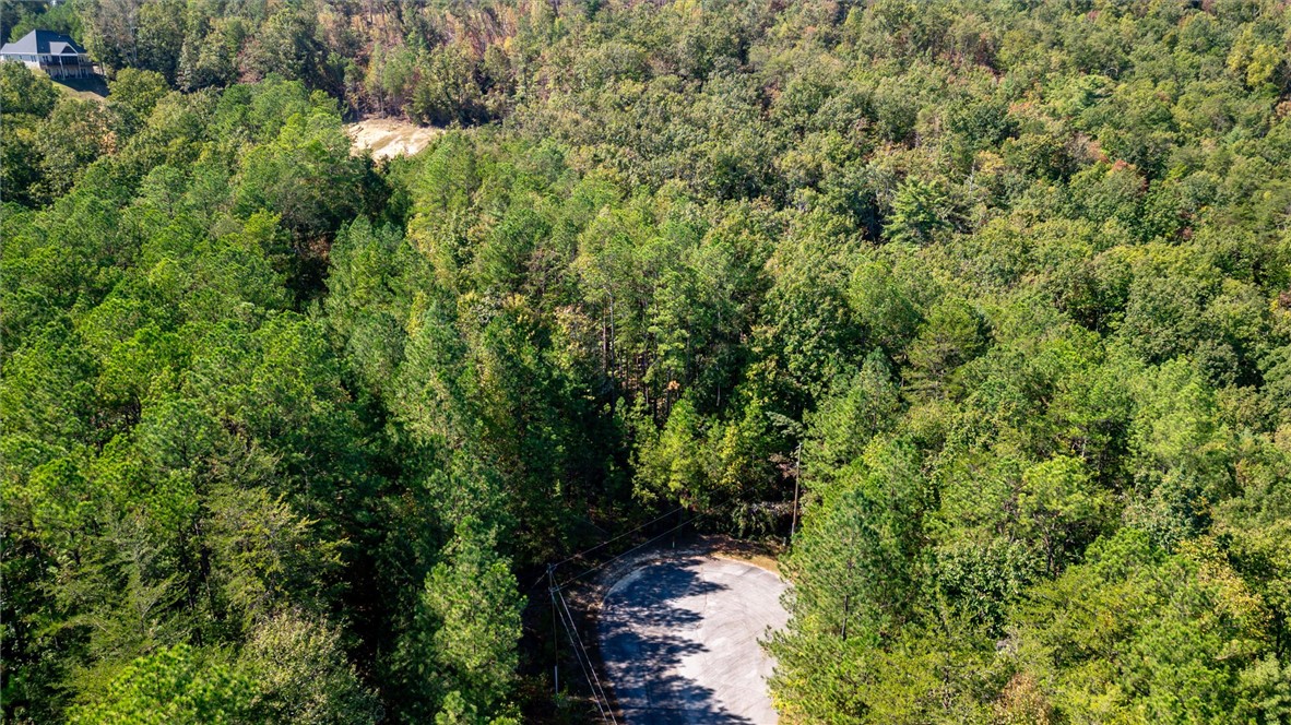 0 Meadow View Lane, Unit N34 JOCASSEE RIDGE Salem, SC 29676 - Photo 7 of 11