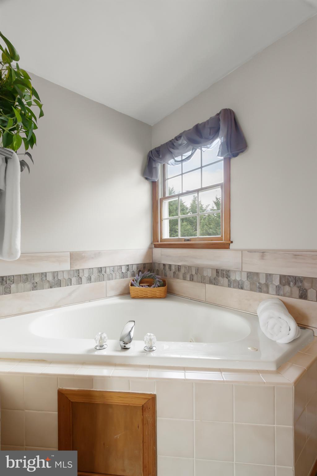 8 Wortham Court Bear, DE 19701 - Photo 35 of 71