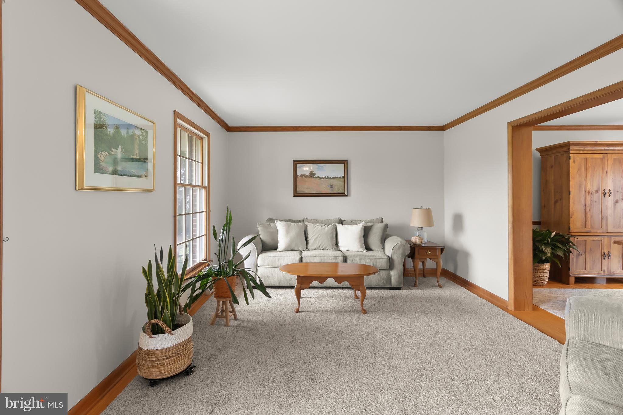8 Wortham Court Bear, DE 19701 - Photo 6 of 71 a living room with furniture and a potted plant