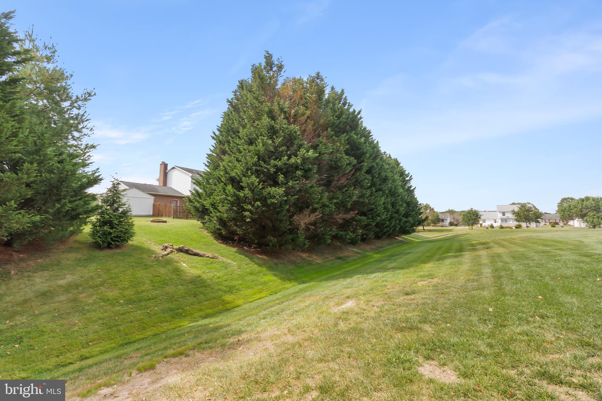 8 Wortham Court Bear, DE 19701 - Photo 71 of 71 This tree line acts as a boundary of the .61 acre