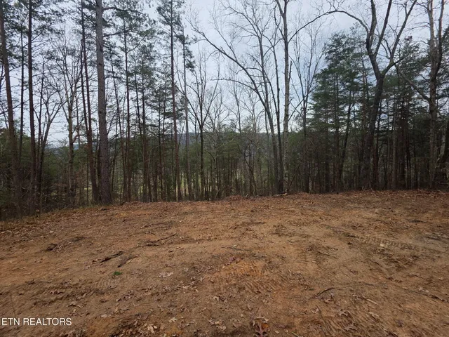 $70,000 | Lot 4 Parksville Road, Benton, TN 37307