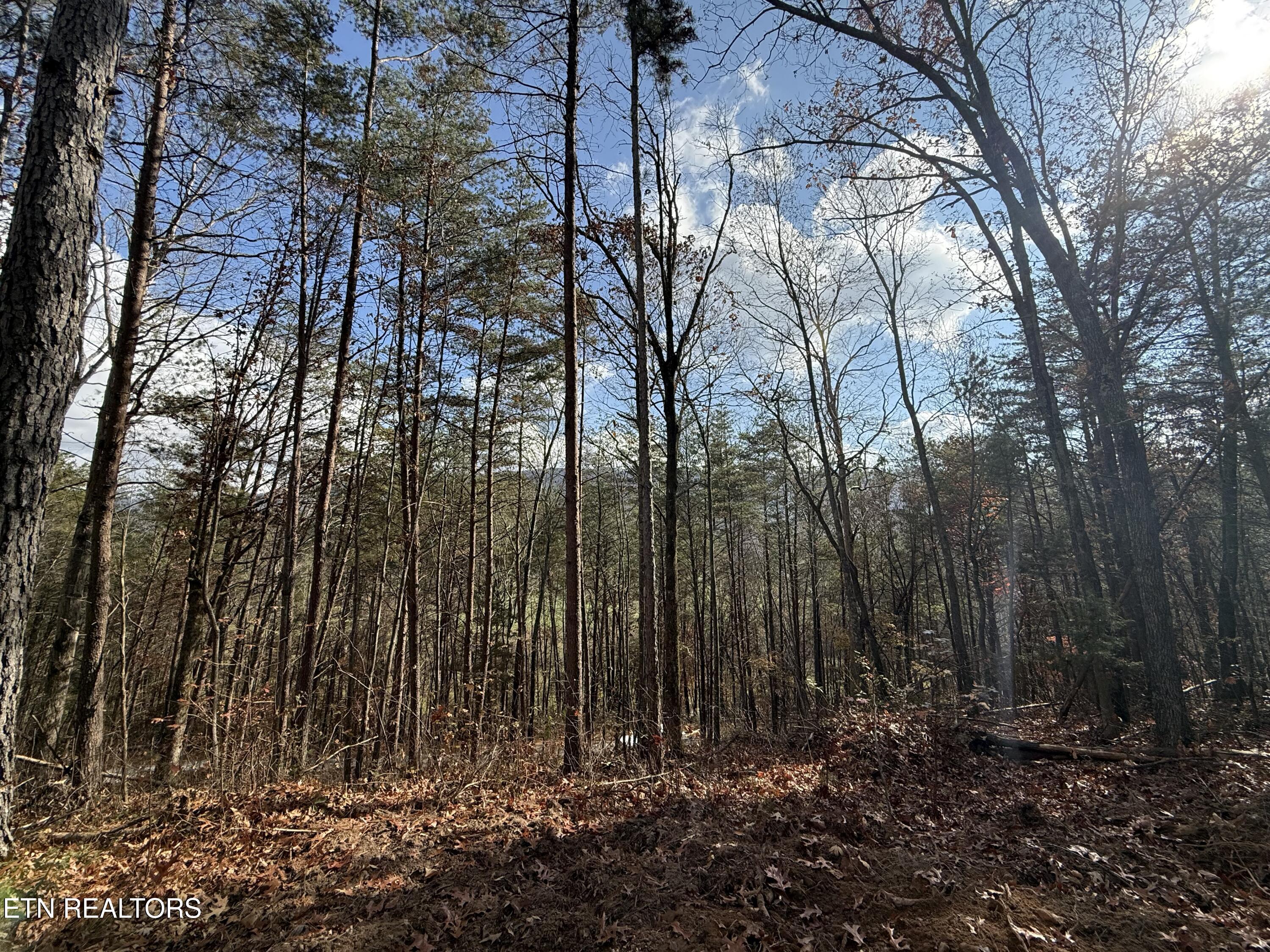 Lot 4 Parksville Road Benton, TN 37307 - Photo 3 of 14 IMG_0306