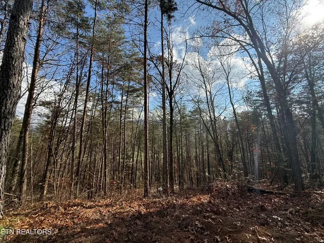 $70,000 | Lot 4 Parksville Road, Benton, TN 37307