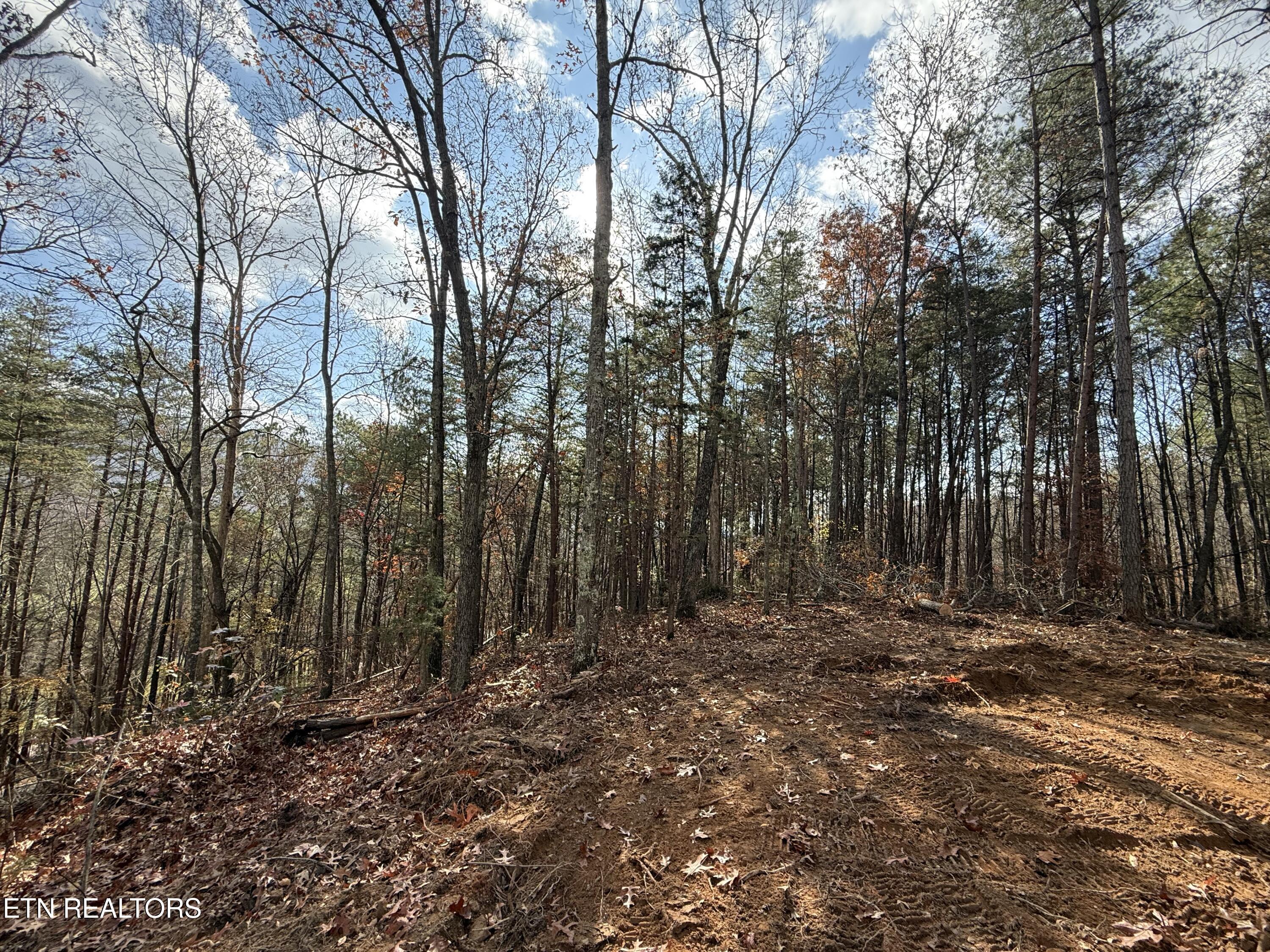 Lot 4 Parksville Road Benton, TN 37307 - Photo 4 of 14 IMG_0307