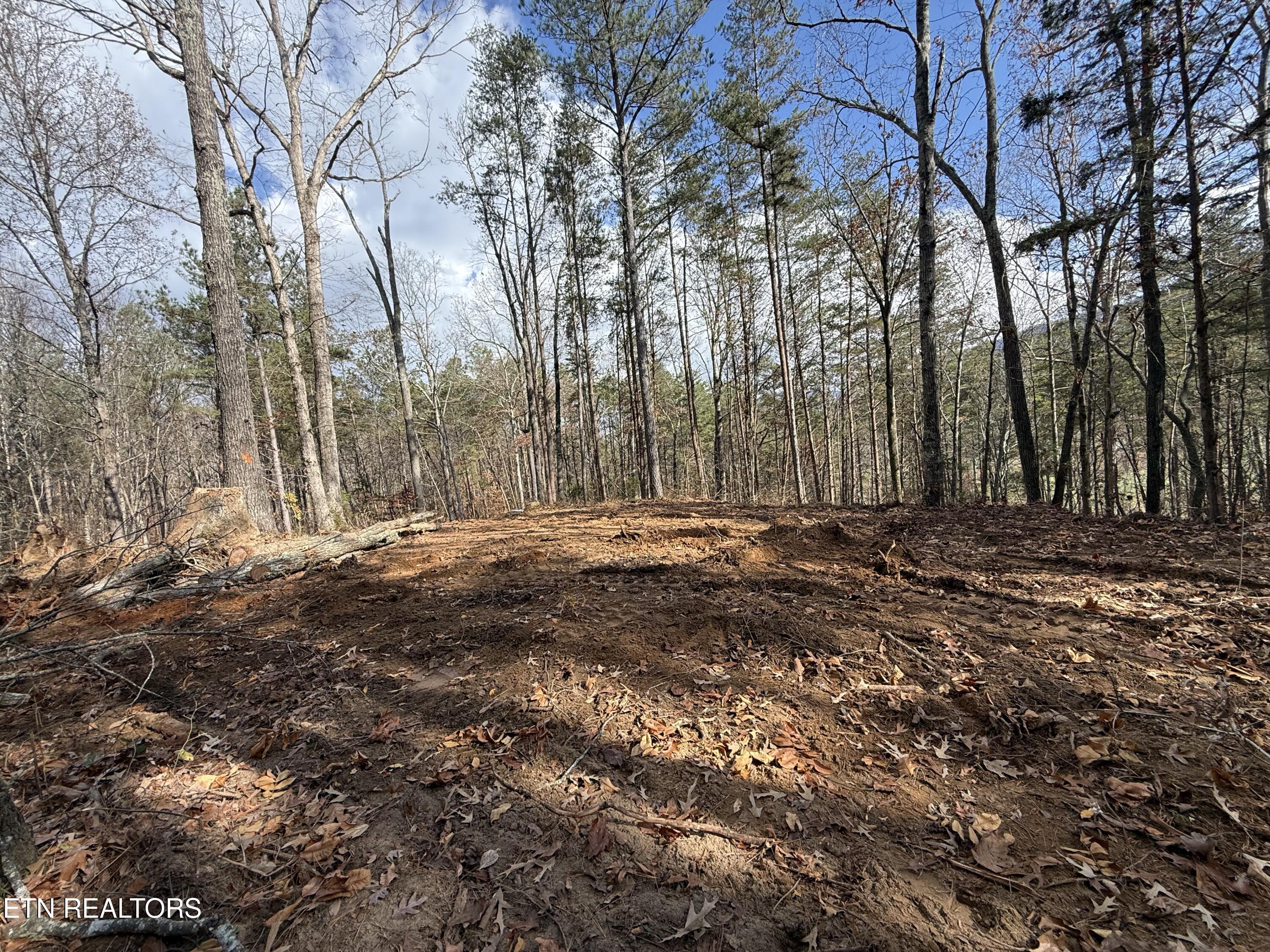 Lot 4 Parksville Road Benton, TN 37307 - Photo 7 of 14 IMG_0310