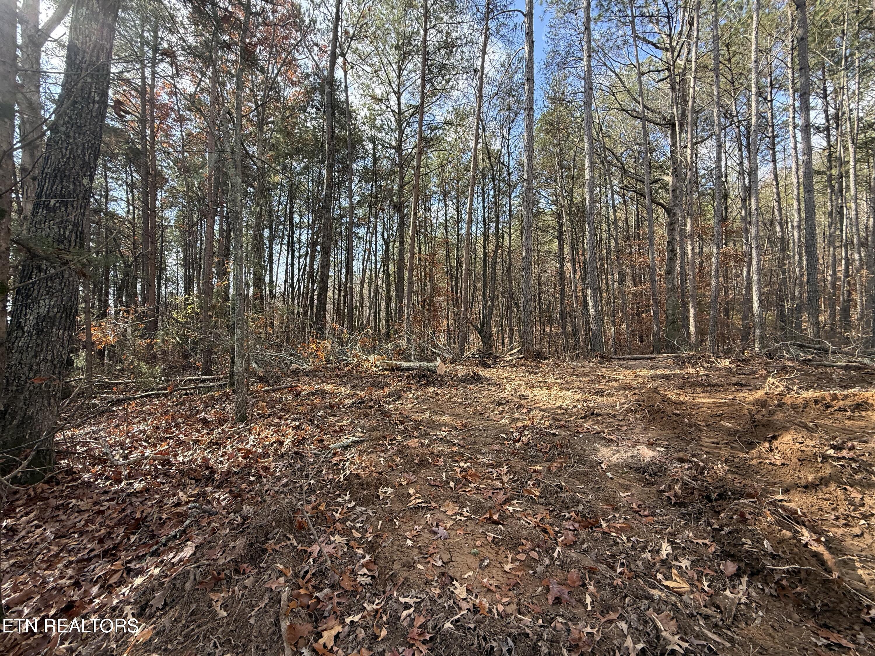 Lot 4 Parksville Road Benton, TN 37307 - Photo 7 of 11 IMG_0309