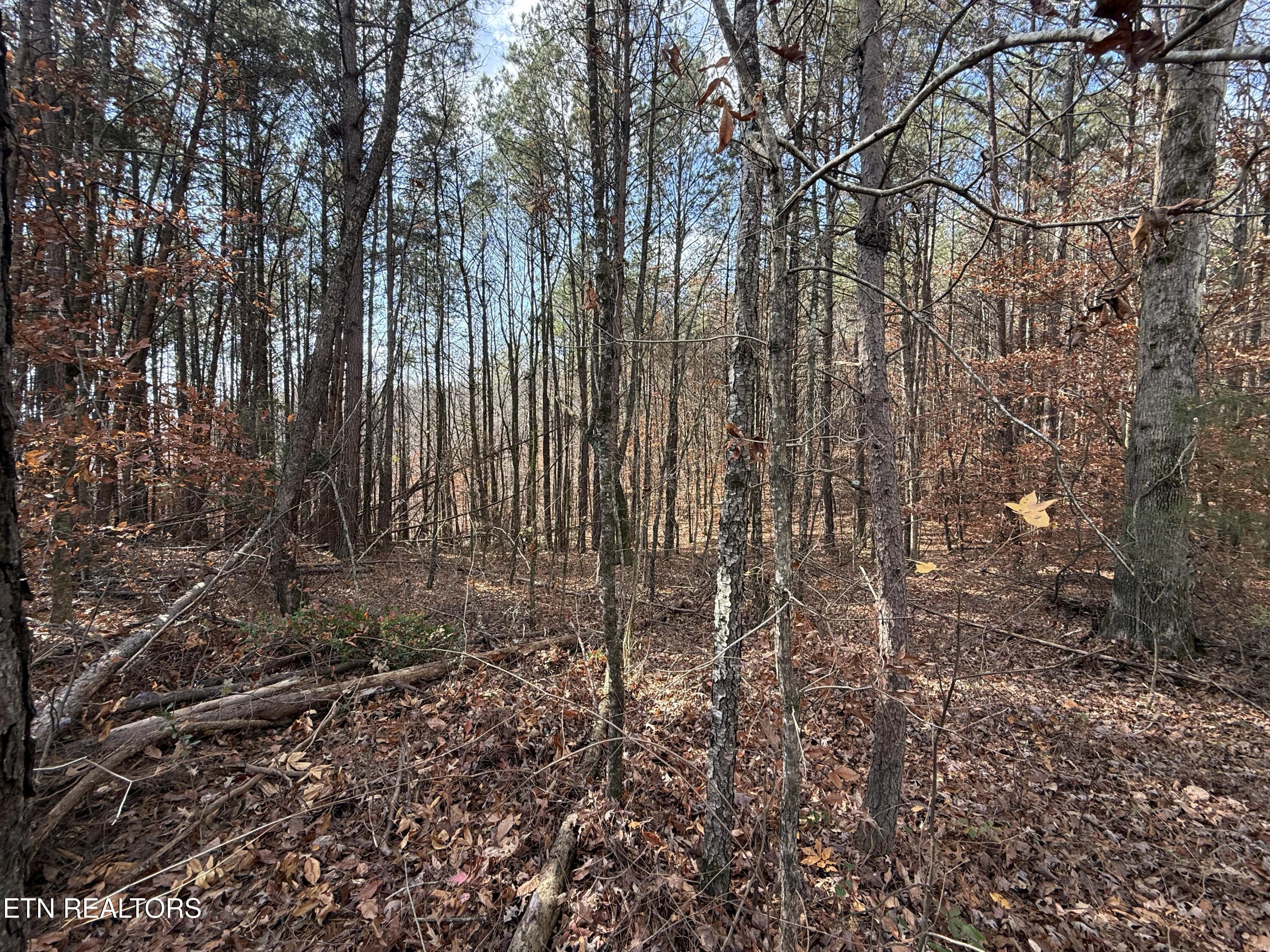 Lot 4 Parksville Road Benton, TN 37307 - Photo 8 of 14 IMG_0311