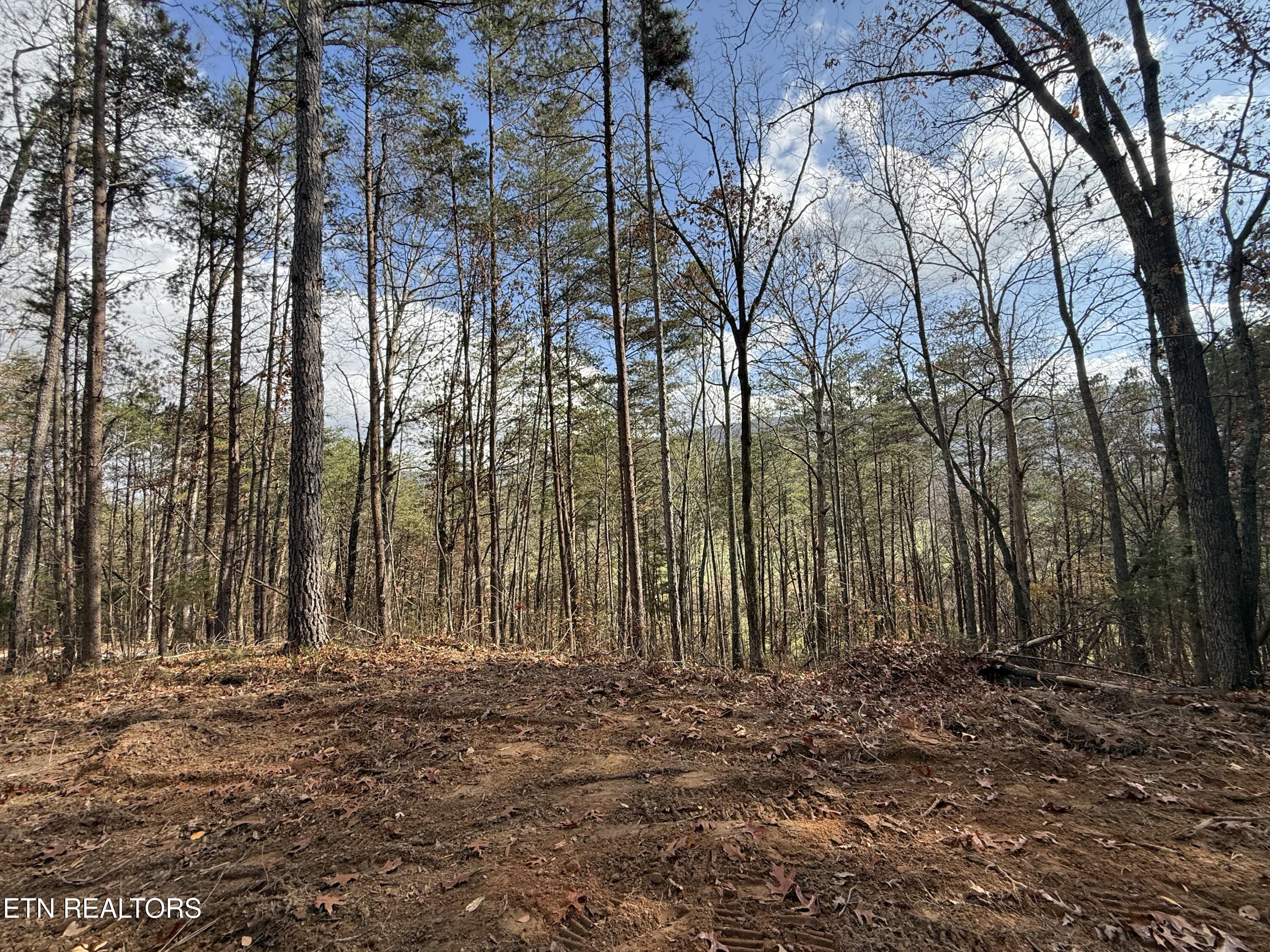 Lot 4 Parksville Road Benton, TN 37307 - Photo 9 of 14 IMG_0312