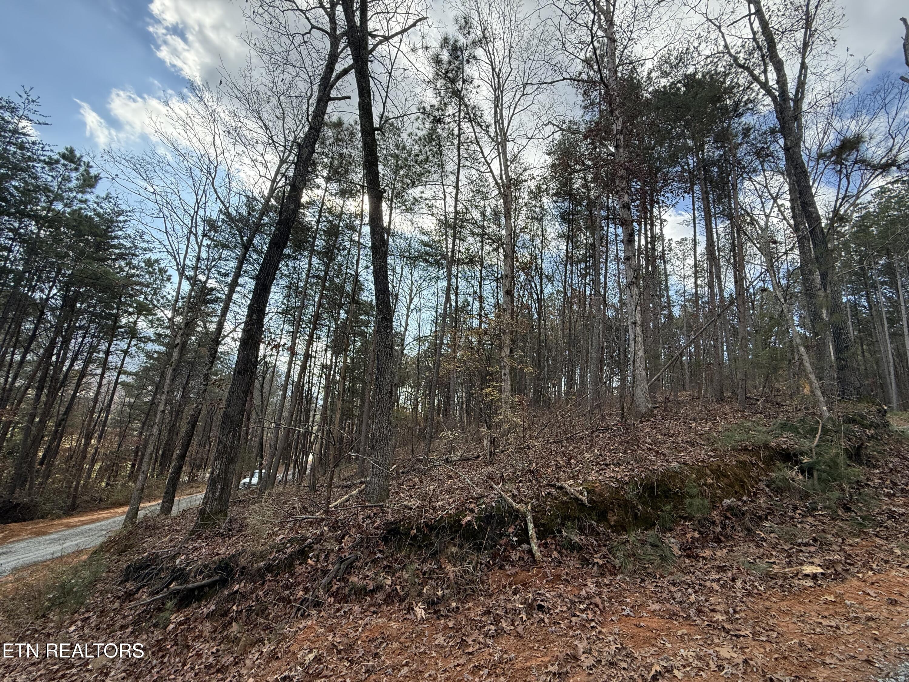 Lot 4 Parksville Road Benton, TN 37307 - Photo 10 of 14 IMG_0313