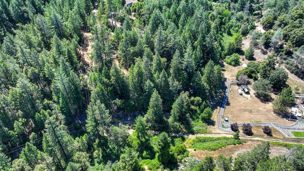 23505 Grand View Way Colfax, CA 95713 - Photo 9 of 32