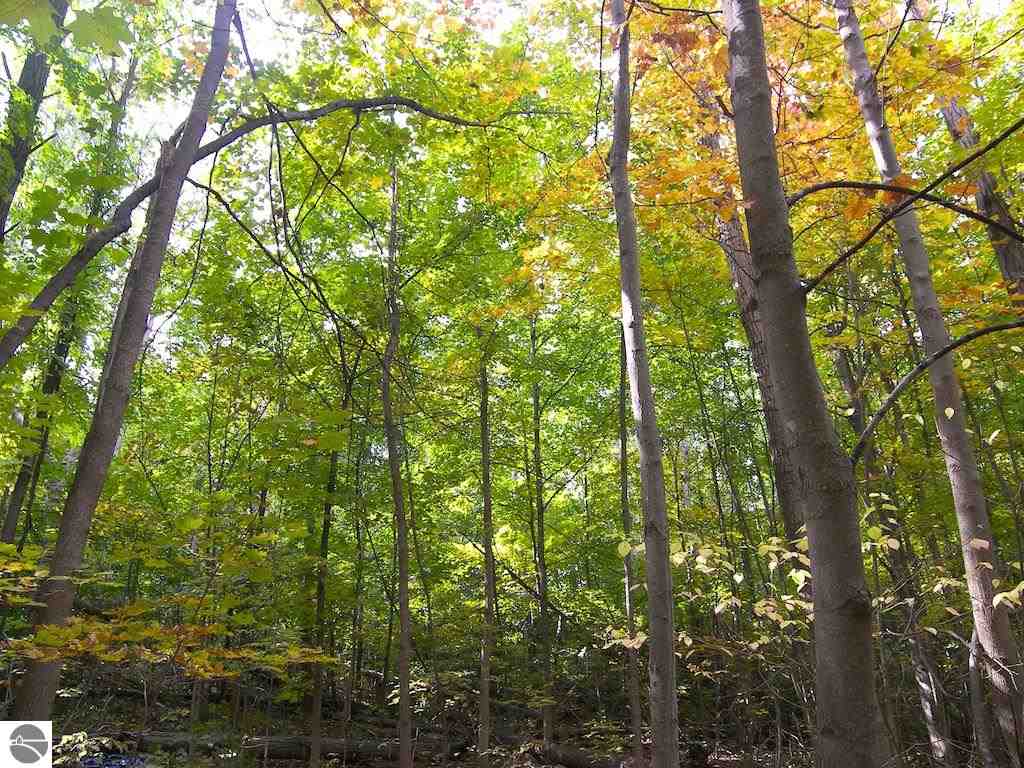 2593 Nelson Road Traverse City, MI 49686 - Photo 81 of 90 1791273-80.JPG