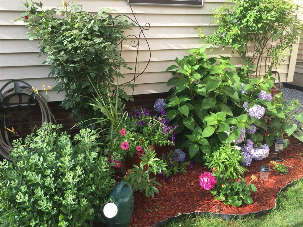 144 Spring Street Cambridge, MA 02141 - Photo 12 of 12 a backyard of a house with lots of green space