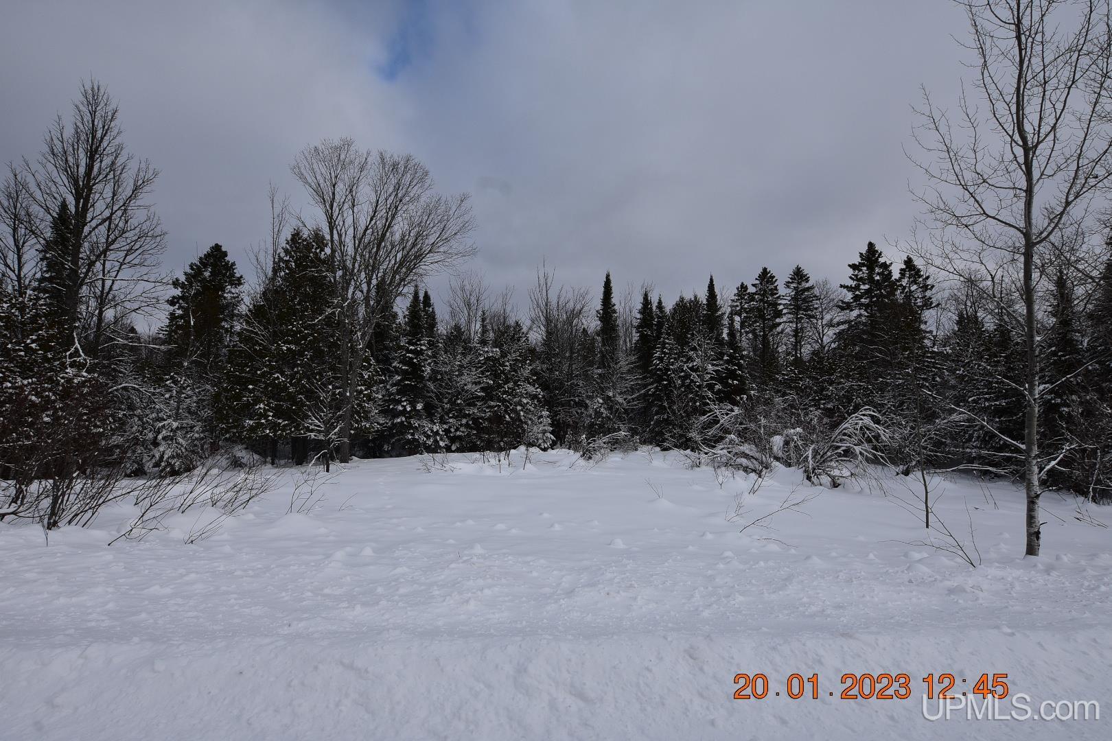 Tbd South Wasas Road Mass City, MI 49948 - Photo 2 of 25