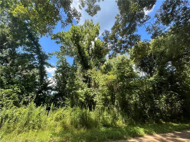 $30,000 | 129 HL Newton Road, Dry Prong, LA 71423