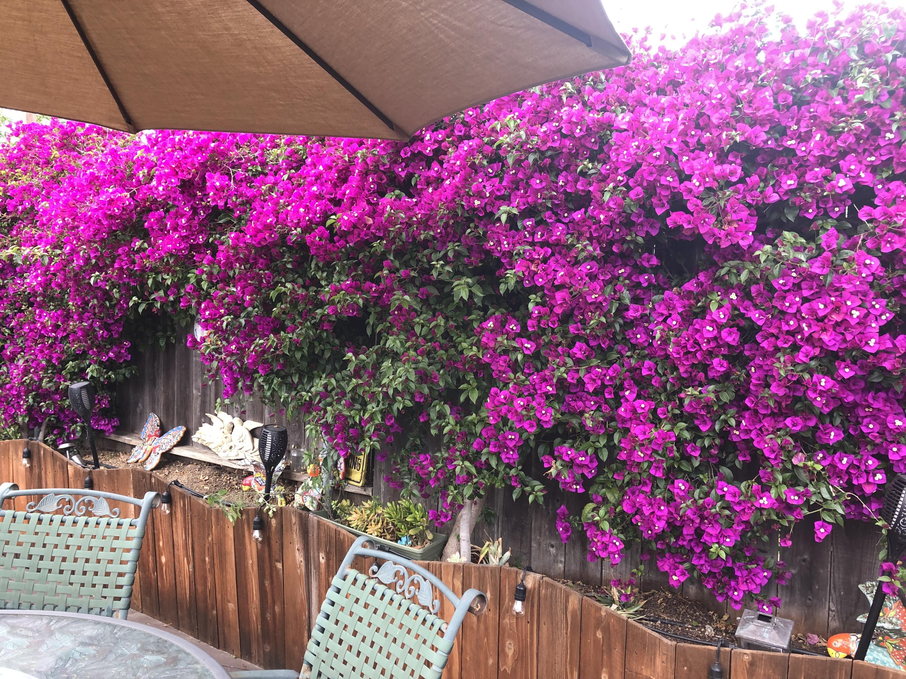 30 Winchester Canyon Road, Unit 23 Goleta, CA 93117 - Photo 14 of 22 IMG_8977