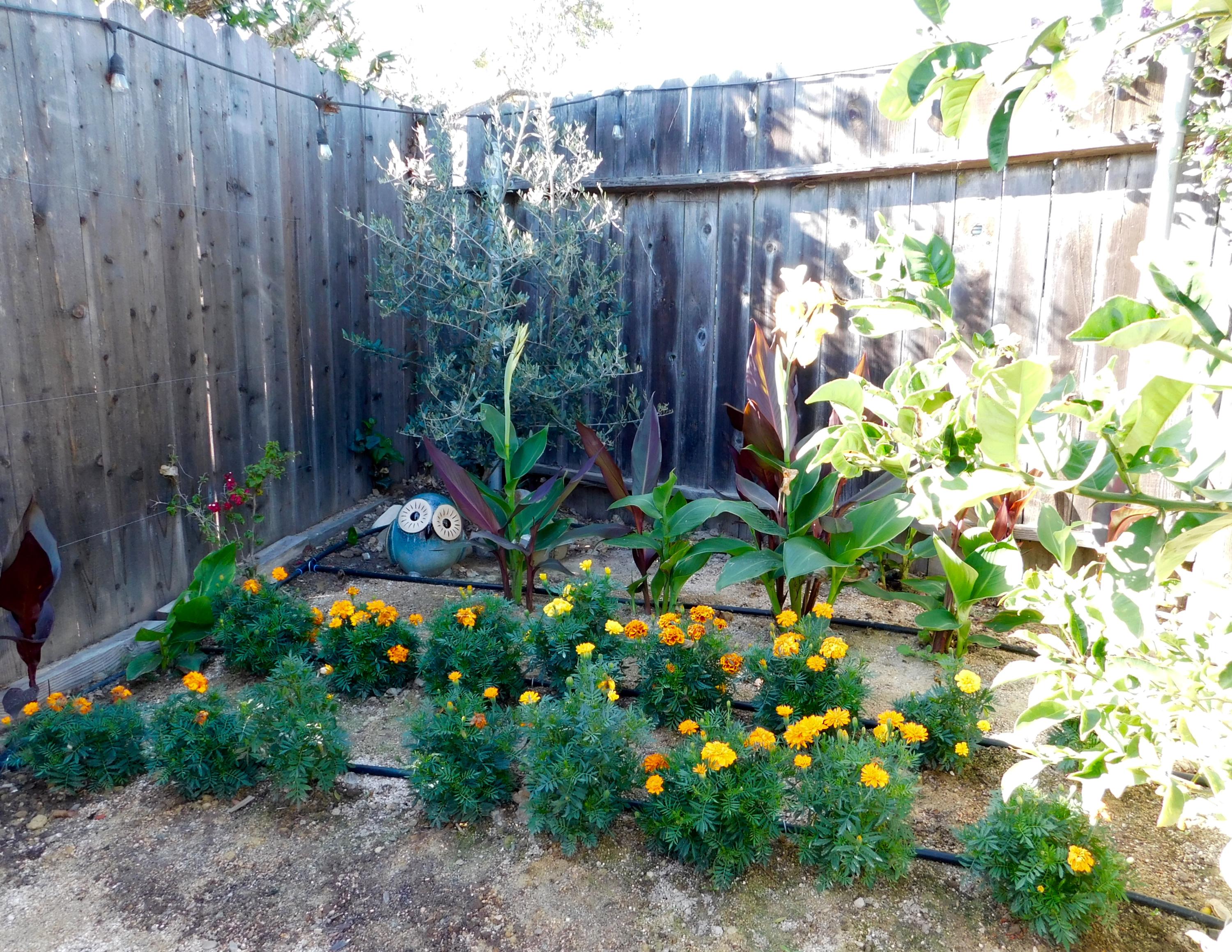 30 Winchester Canyon Road, Unit 23 Goleta, CA 93117 - Photo 15 of 22 DSCN1882