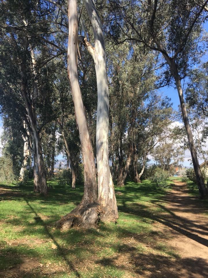 30 Winchester Canyon Road, Unit 23 Goleta, CA 93117 - Photo 17 of 22 IMG_4488