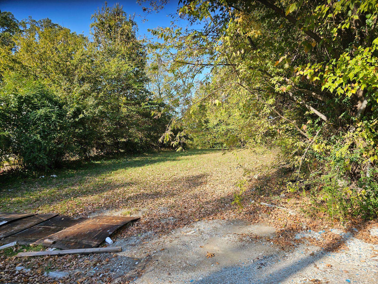 View of local wilderness