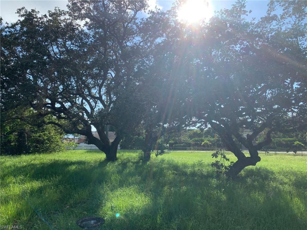 424 Ridge Drive Naples, FL 34108 - Photo 3 of 12 SW View of Preserved Oak trees