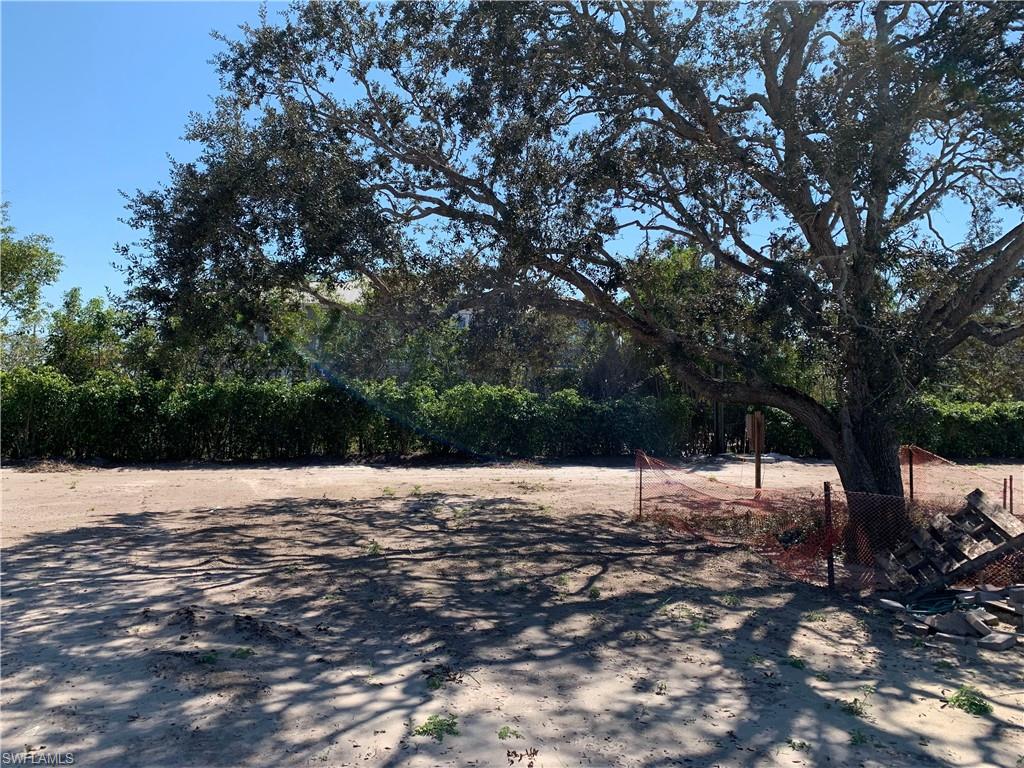 424 Ridge Drive Naples, FL 34108 - Photo 5 of 12 New 7' Ficus Hedge Row in Rear w/Preserved Oak Tree