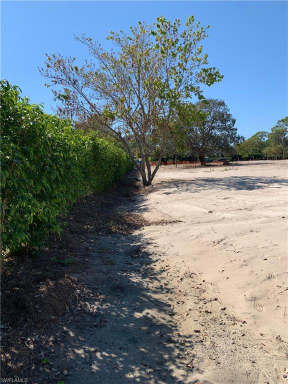 424 Ridge Drive Naples, FL 34108 - Photo 6 of 12 New 7' Ficus Hedge Row in Rear w/Preserved Red Maple