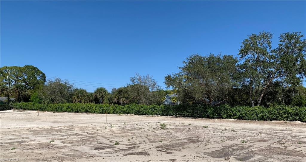 424 Ridge Drive Naples, FL 34108 - Photo 8 of 12 New Ficus Hedge Row in Rear