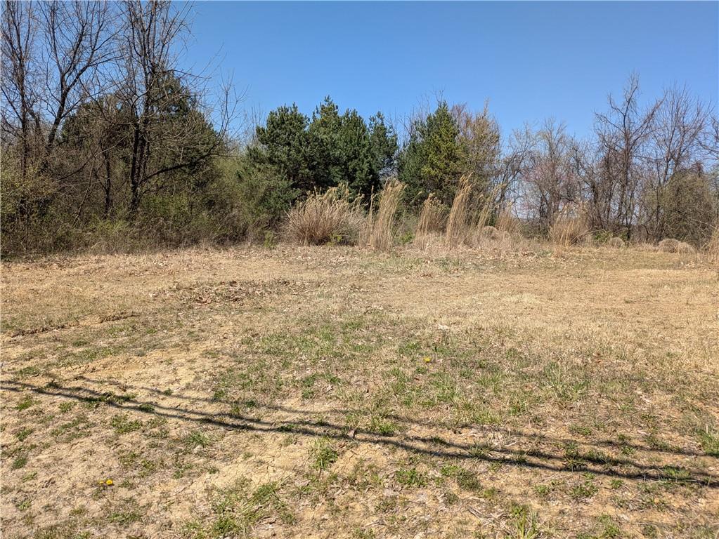 0 Phillips Lane McKees Rocks, PA 15136 - Photo 3 of 10 a view of a yard with an trees