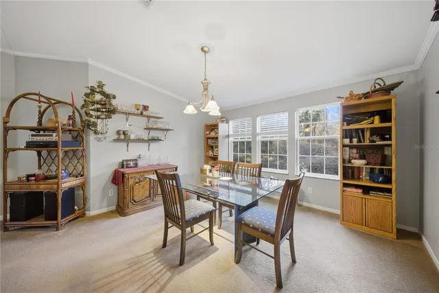 a bedroom with a bed and a plant